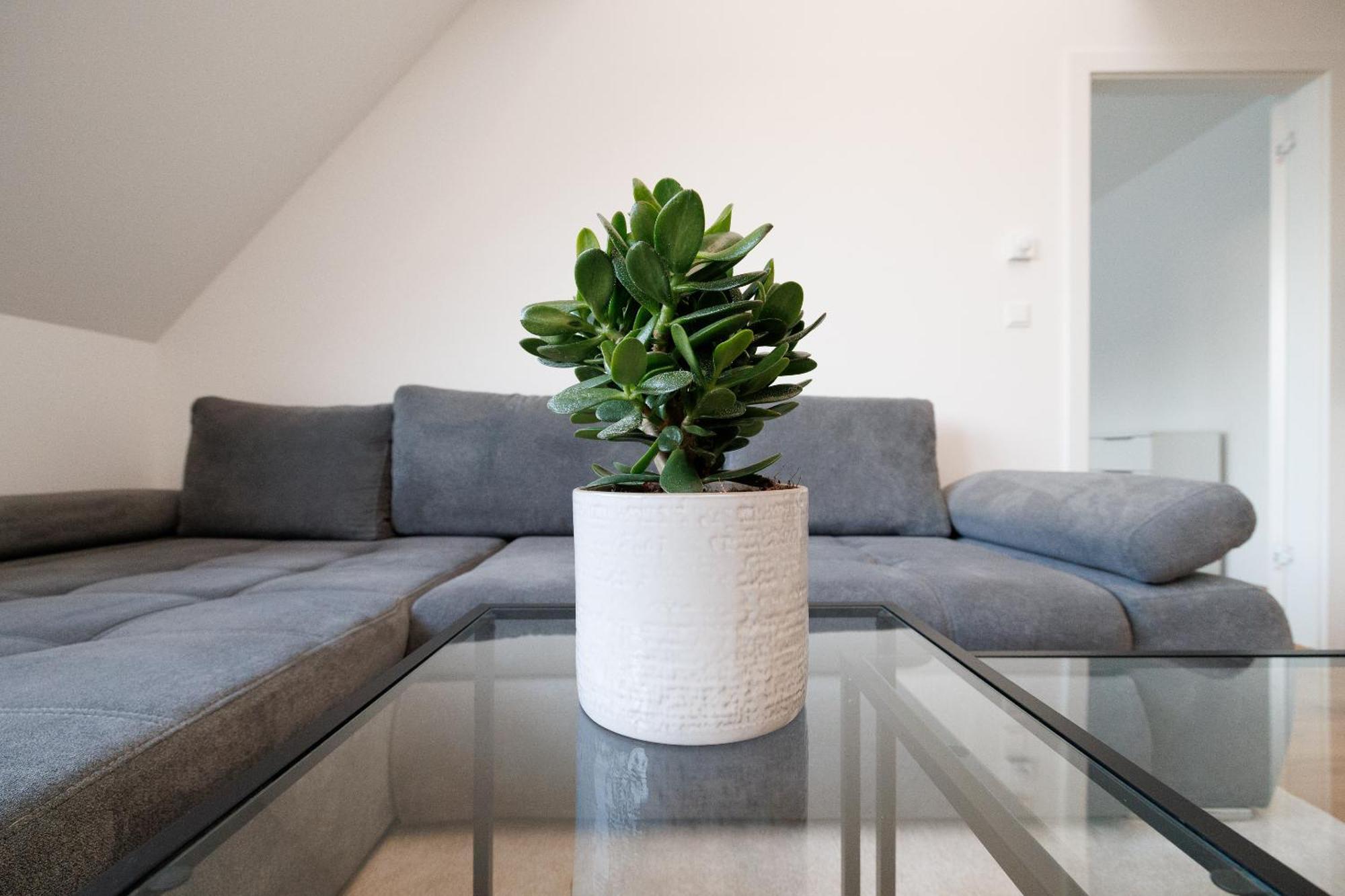 Symphony Apartments 41 - Modern Loft With Terrace And Grill In Central Location Vienne Extérieur photo